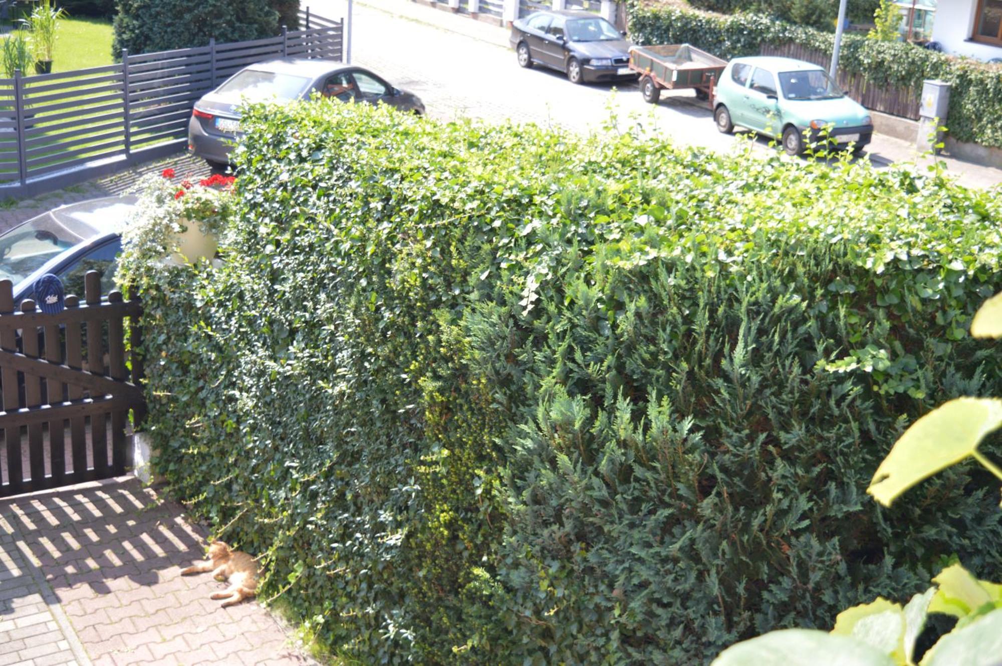 Apartamento U Piotra Ustka Exterior foto